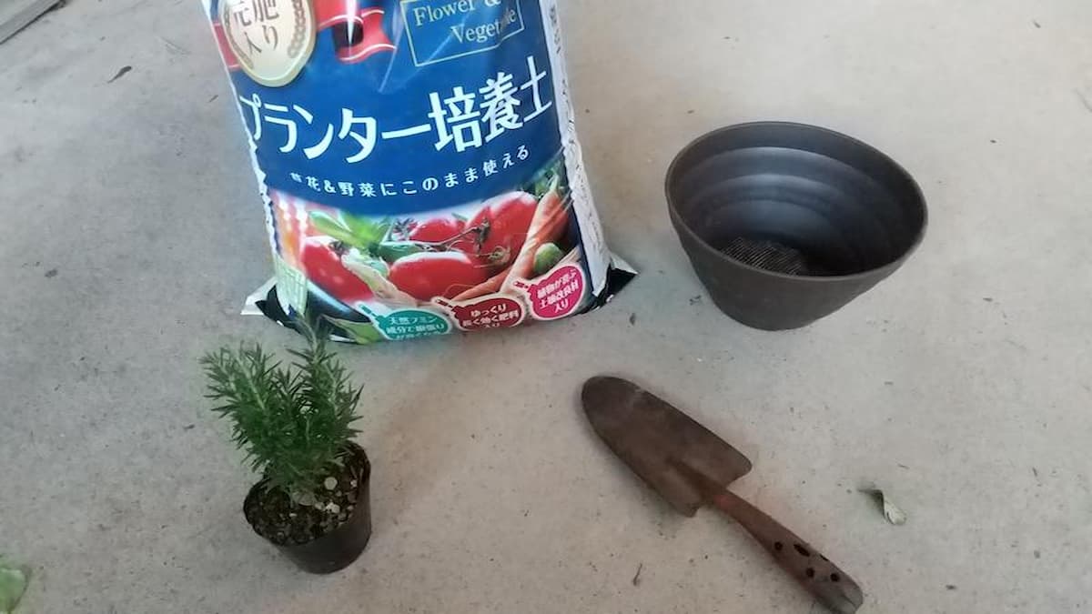 ハーブ栽培に必要な道具類(スコップ、鉢、ローズマリー、培養土)